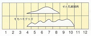 発生消長