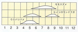 発生消長