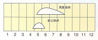 発生消長