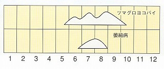 発生消長