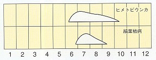 発生消長
