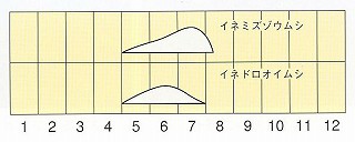発生消長