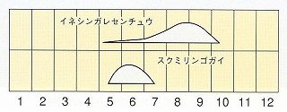 発生消長