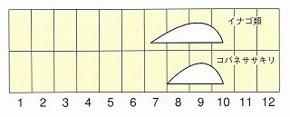 発生消長